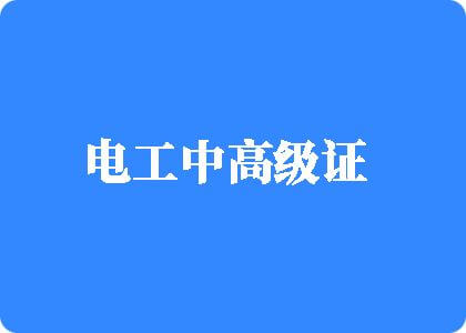 中国大鸡巴操肥女人电工中高级证